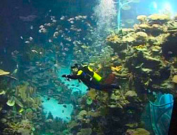 Guangzhou Ocean World