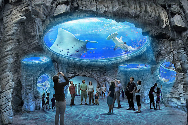 HK Ocean Park3