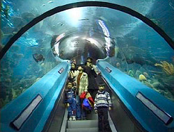 Guangzhou Ocean World