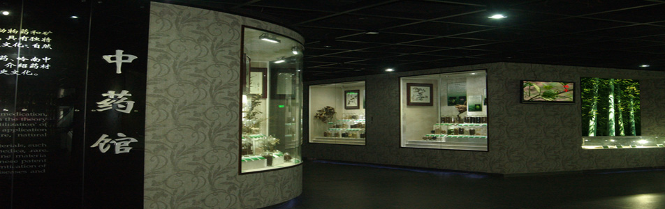 Guangdong Chinese Medicine Museum2
