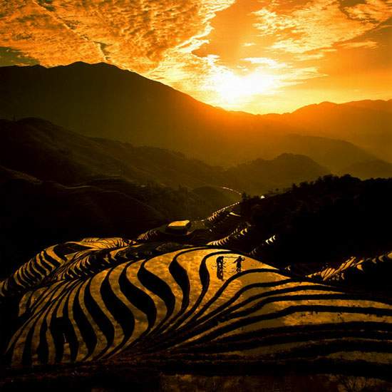Longji Terrace