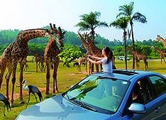 Guangzhou Half-day Tour D