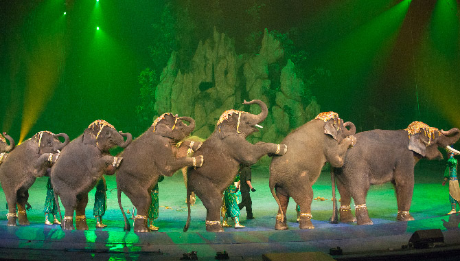 Guangzhou One Day Tour A