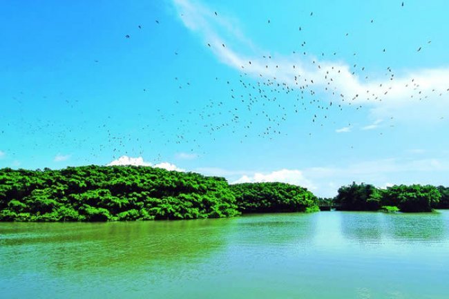Heshan One Day Tour
