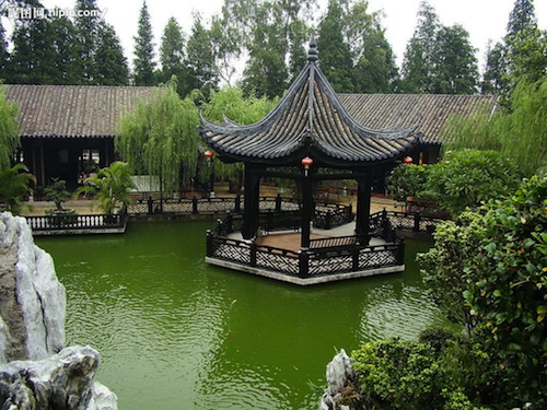 Panyu Xiangjiang Safari Park and Baomo Garden One Day Tour